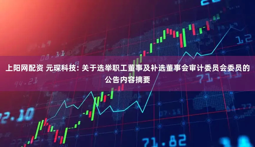 上阳网配资 元琛科技: 关于选举职工董事及补选董事会审计委员会委员的公告内容摘要
