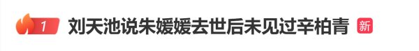 牛点策略 刘天池说朱媛媛去世后未见过辛柏青, 辛柏青已断更4个月